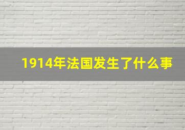 1914年法国发生了什么事