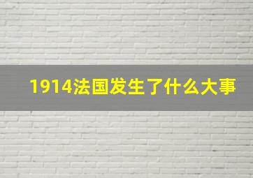 1914法国发生了什么大事