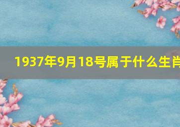 1937年9月18号属于什么生肖