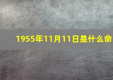 1955年11月11日是什么命