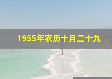 1955年农历十月二十九