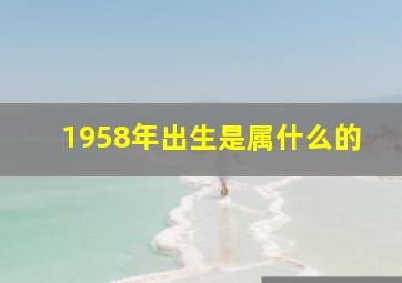 1958年出生是属什么的