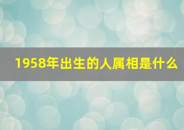 1958年出生的人属相是什么