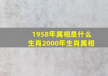 1958年属相是什么生肖2000年生肖属相