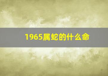 1965属蛇的什么命