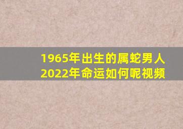 1965年出生的属蛇男人2022年命运如何呢视频