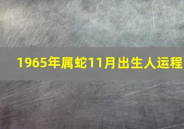 1965年属蛇11月出生人运程