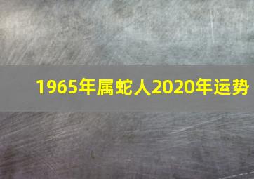 1965年属蛇人2020年运势