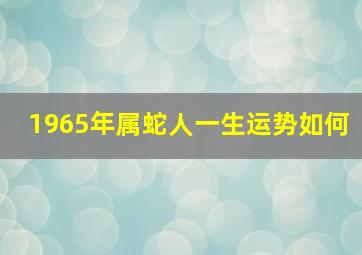 1965年属蛇人一生运势如何