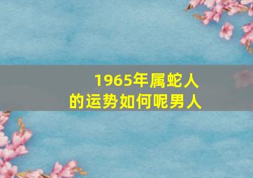 1965年属蛇人的运势如何呢男人