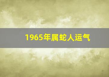 1965年属蛇人运气