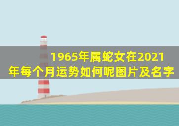 1965年属蛇女在2021年每个月运势如何呢图片及名字