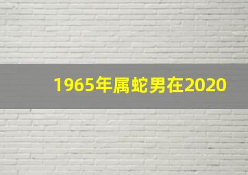 1965年属蛇男在2020