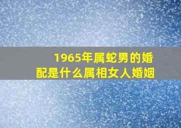 1965年属蛇男的婚配是什么属相女人婚姻