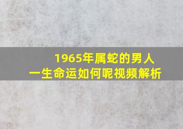 1965年属蛇的男人一生命运如何呢视频解析