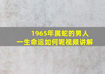 1965年属蛇的男人一生命运如何呢视频讲解