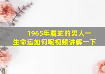 1965年属蛇的男人一生命运如何呢视频讲解一下