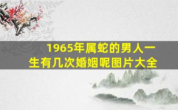 1965年属蛇的男人一生有几次婚姻呢图片大全