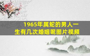 1965年属蛇的男人一生有几次婚姻呢图片视频