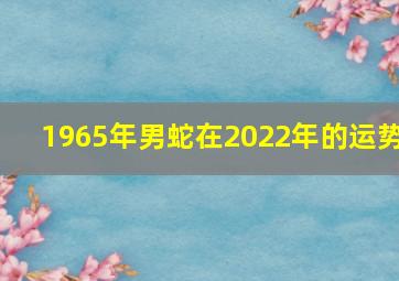 1965年男蛇在2022年的运势