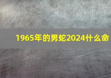 1965年的男蛇2024什么命