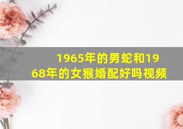 1965年的男蛇和1968年的女猴婚配好吗视频