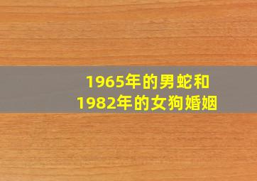 1965年的男蛇和1982年的女狗婚姻