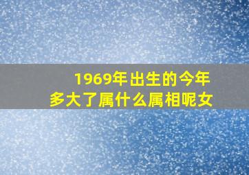 1969年出生的今年多大了属什么属相呢女