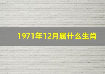 1971年12月属什么生肖