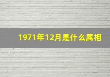 1971年12月是什么属相