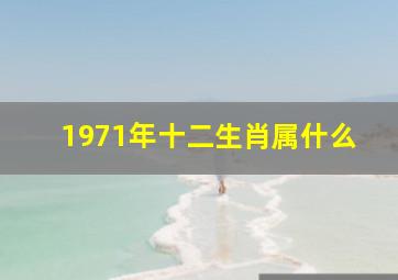 1971年十二生肖属什么