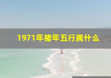 1971年猪年五行属什么