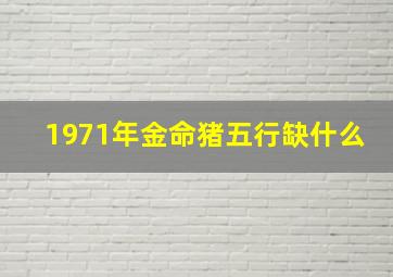 1971年金命猪五行缺什么