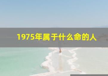 1975年属于什么命的人