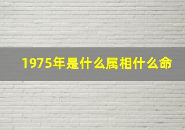 1975年是什么属相什么命