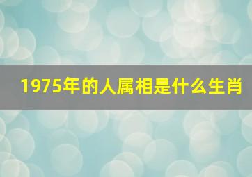 1975年的人属相是什么生肖