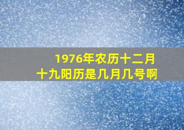 1976年农历十二月十九阳历是几月几号啊