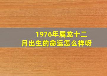 1976年属龙十二月出生的命运怎么样呀