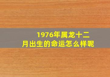 1976年属龙十二月出生的命运怎么样呢