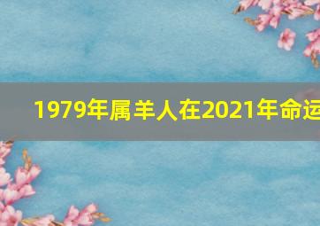 1979年属羊人在2021年命运