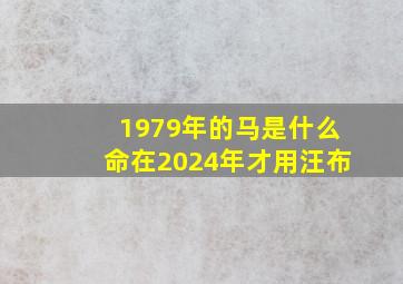 1979年的马是什么命在2024年才用汪布