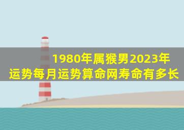 1980年属猴男2023年运势每月运势算命网寿命有多长