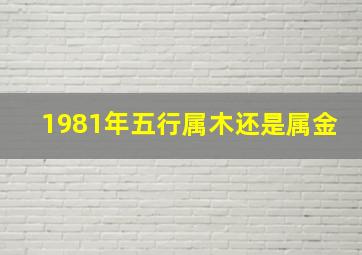 1981年五行属木还是属金