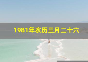 1981年农历三月二十六