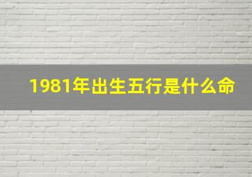 1981年出生五行是什么命