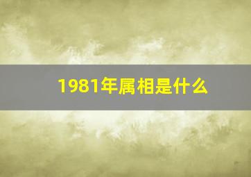 1981年属相是什么