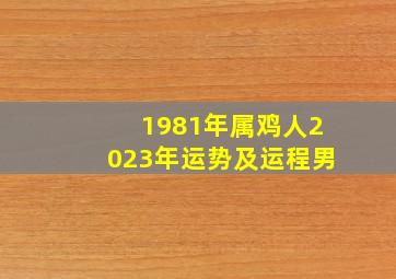 1981年属鸡人2023年运势及运程男