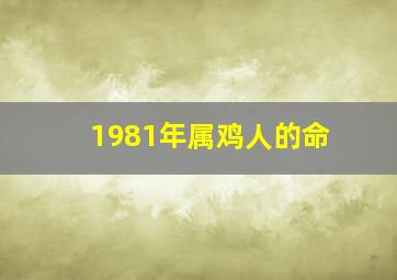 1981年属鸡人的命