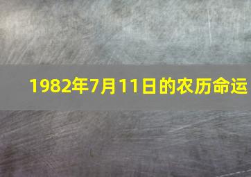 1982年7月11日的农历命运