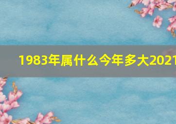 1983年属什么今年多大2021